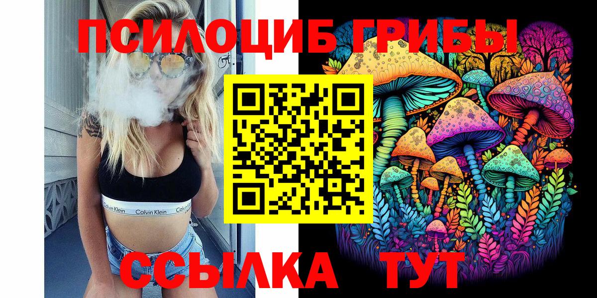 Волхов  Галлюциногенные грибы MAGIC MUSHROOMS  Вход с VPN 